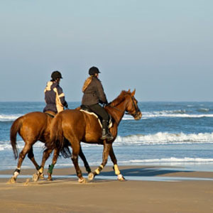 Horseback Riding