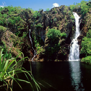 Hanging Bridges Tour