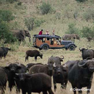 1920s Game Drive