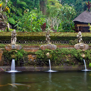 Private Guided Tour around Ubud