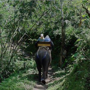 Bali Elephant Camp