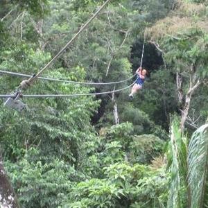 Ziplining and Rainforest Tour